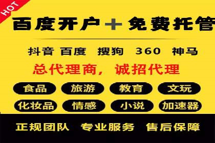 SEM推广案例：从无到有的转变