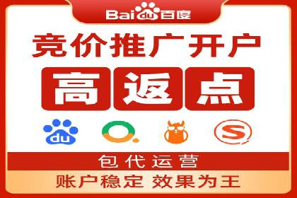 行业领先企业如何运用SEM进行精准营销